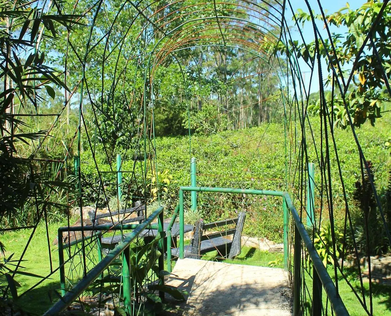 Hotel Triniton Holiday Villas Hatton